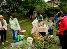 dsc 5680 nef