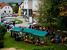dsc 5686 nef