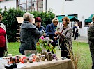 dsc 5733 nef