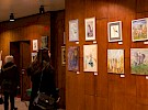 img 8328