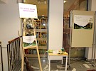 img 0087