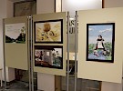 img 0088