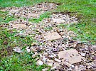 img 2041