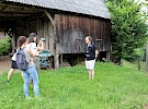 img 1644