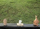 img 2006
