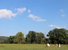 img 3145