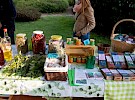 img 5585
