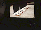 img 4023 135x100