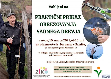 obrezovanje_sadnega_drevja