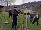 obrezovanje sadnega drevja  semic  marec 2021