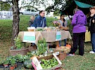 img 2060