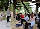 img 2184