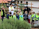 img 2206