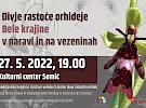 semic vabilo predstavitev orhideje 27 5 2022 pomanjsano