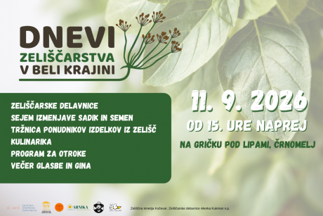 dzbk_nov_spletka