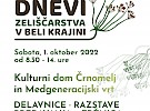01 fb grafika dnevi zalis c arstva zik 0820229