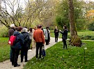 img 3975