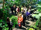 img 3993