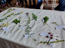 20230606 170846