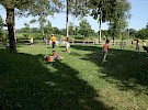 img 7994
