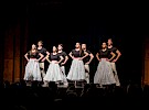 foto 15 predstava plesi brina kud oton zupancic vinica